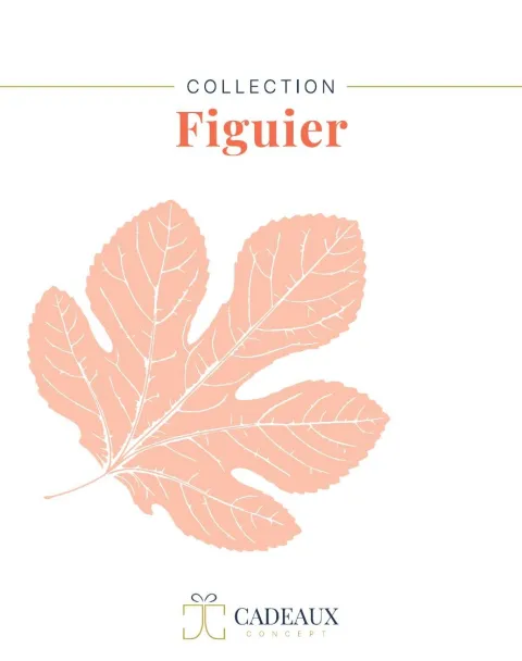 tier-cover-06