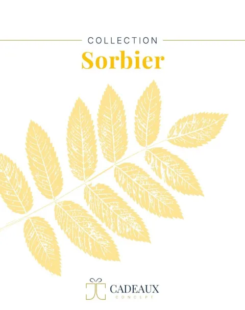 tier-cover-11