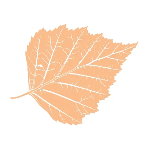 tier-leaf-02