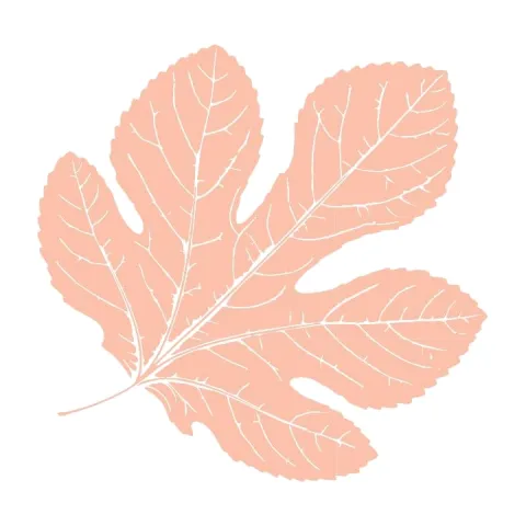tier-leaf-06