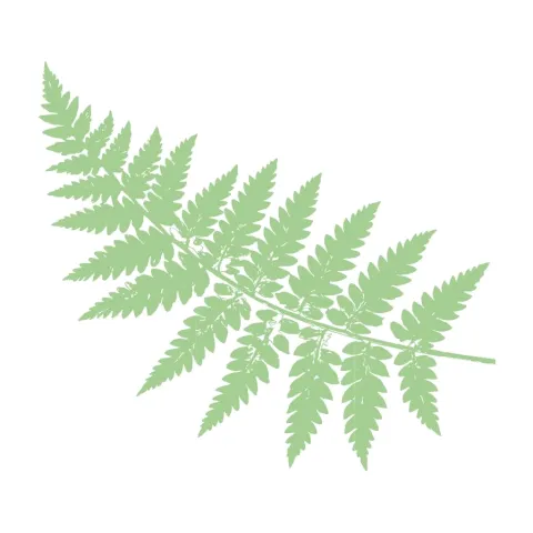 tier-leaf-07