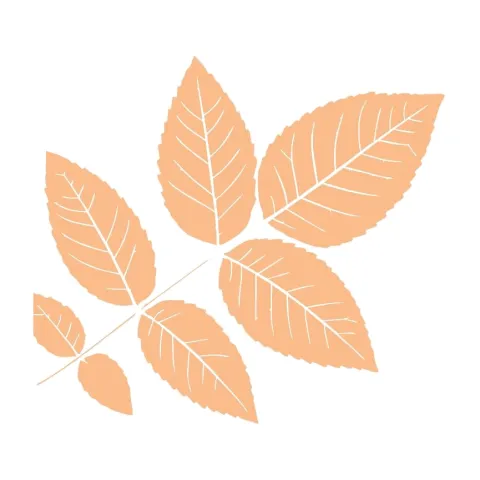 tier-leaf-08