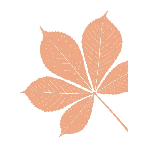 tier-leaf-09
