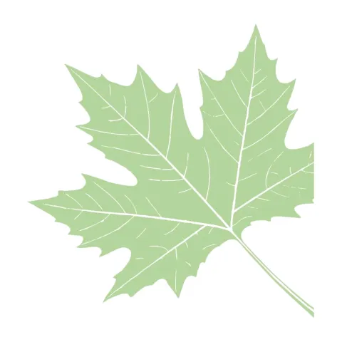 tier-leaf-10