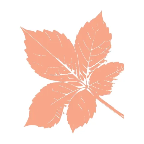 tier-leaf-12